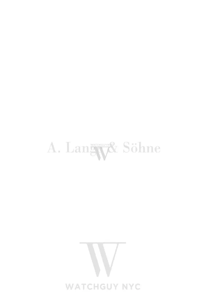 A. Lange & Sohne Richard Lange Perpetual Calendar Terraluna 180.032FE Watch