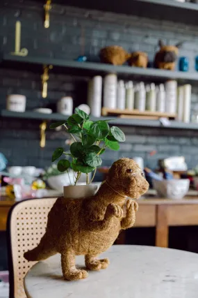 Animal Planter - T-Rex