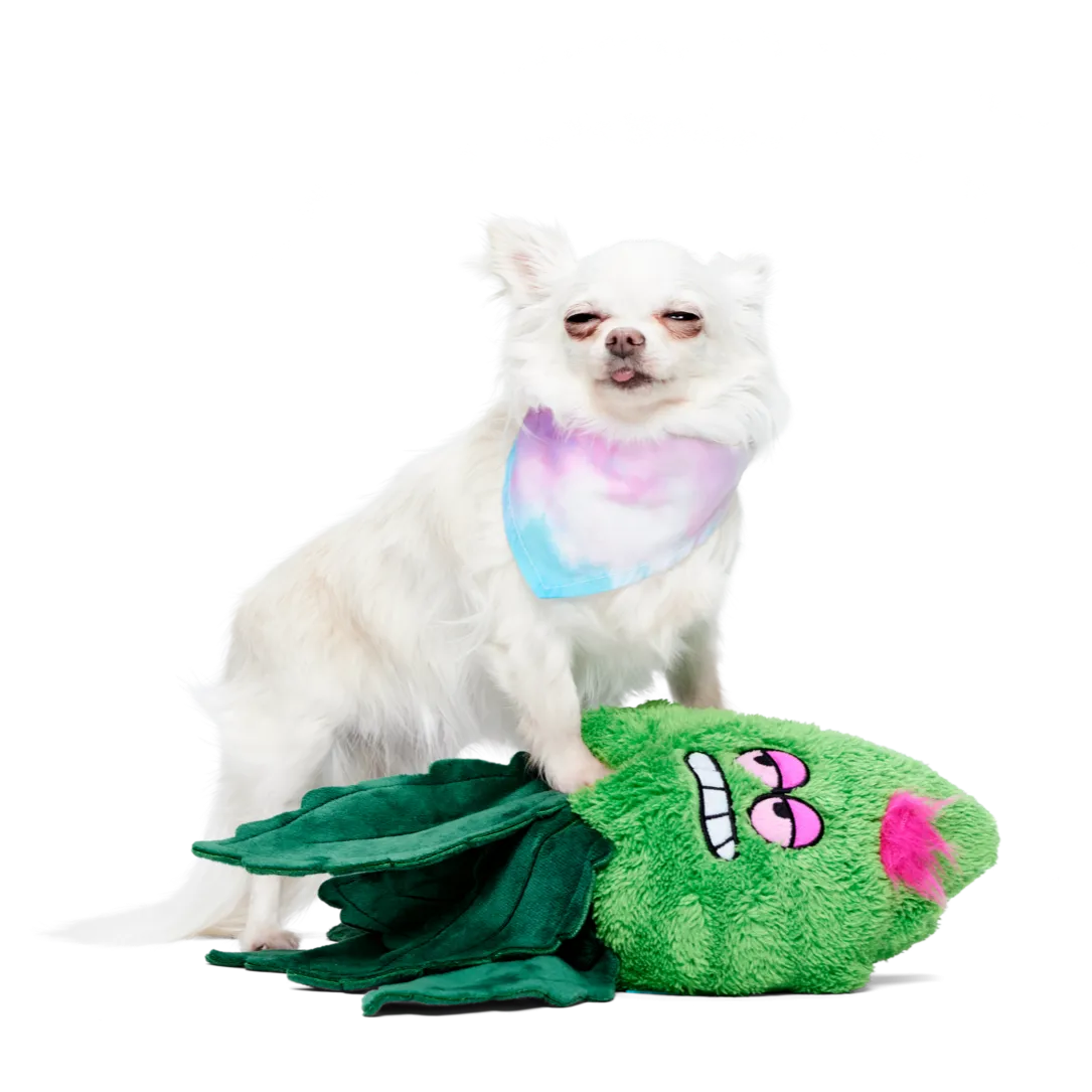 Best Bud Toy & Bandana Bundle