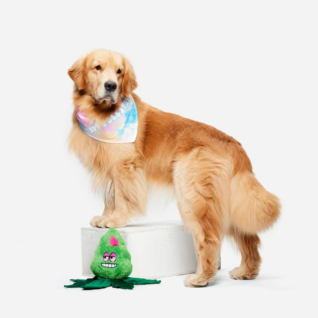 Best Bud Toy & Bandana Bundle