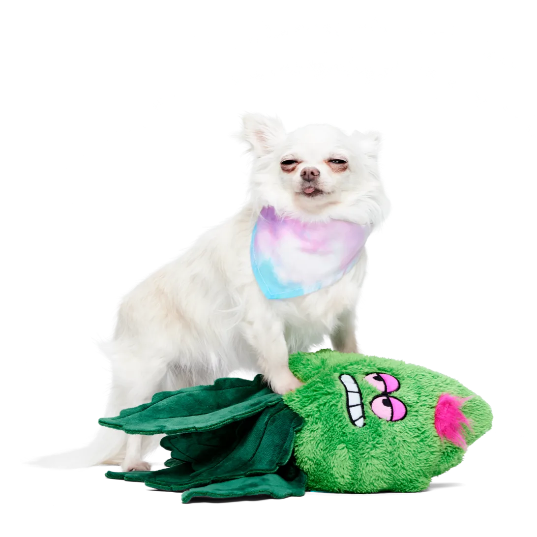 Best Bud Toy & Bandana Bundle
