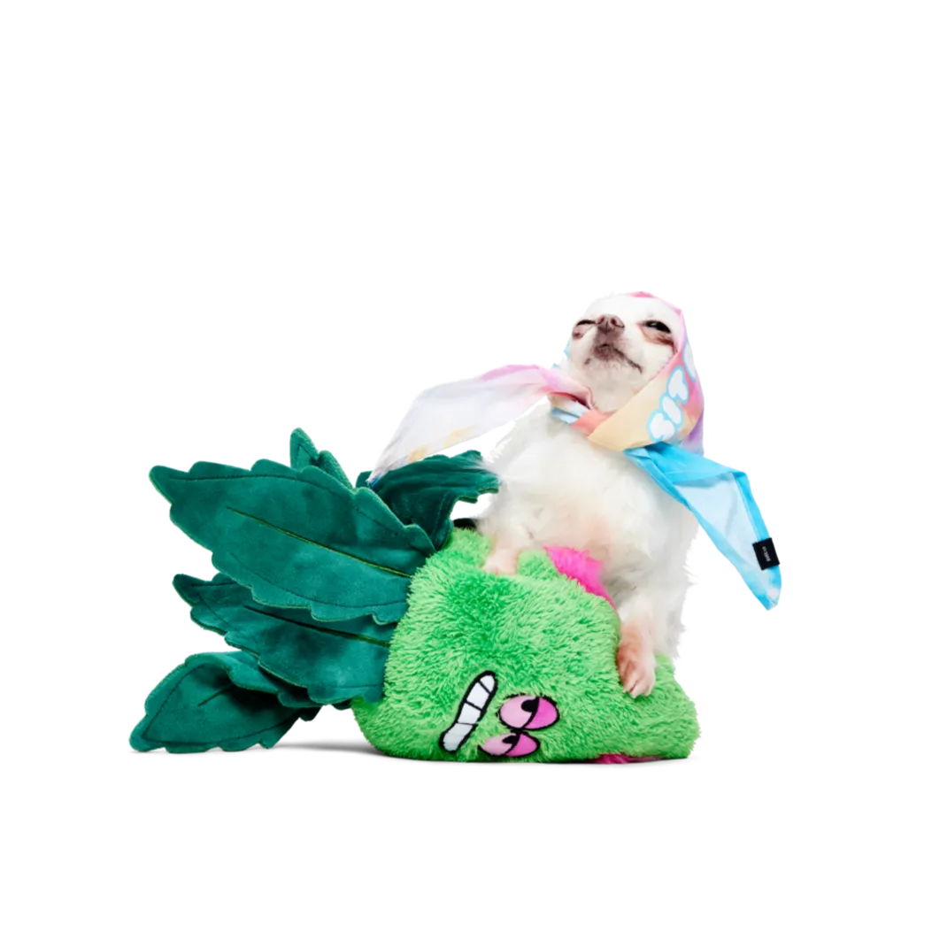 Best Bud Toy & Bandana Bundle