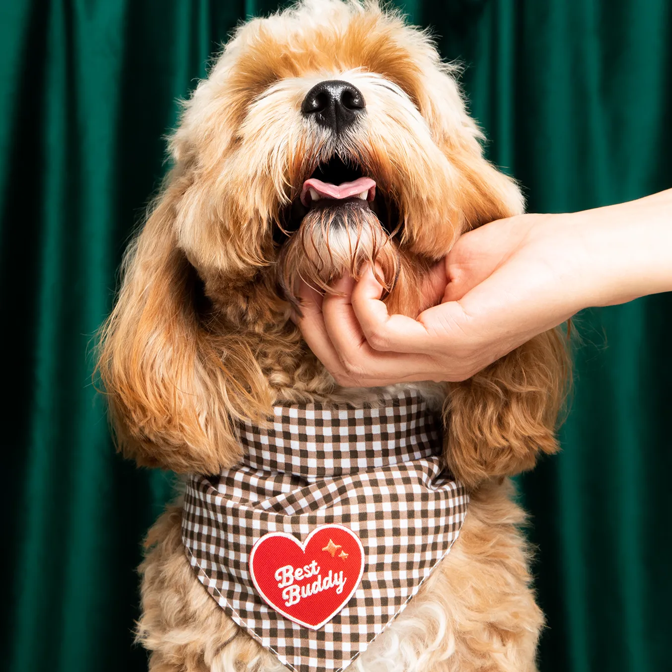 Best Buddy Iron-On Patch for Dogs