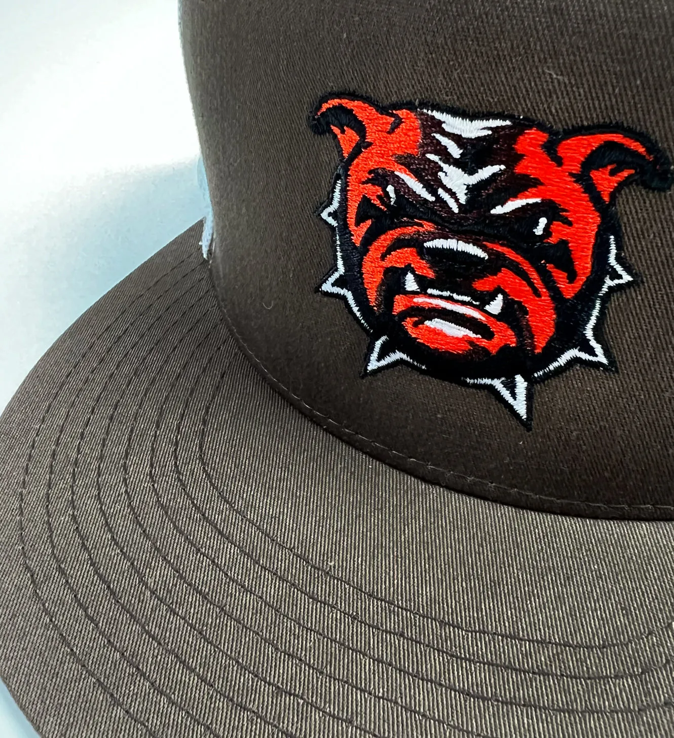 Brown Dawg Mesh Snap Back