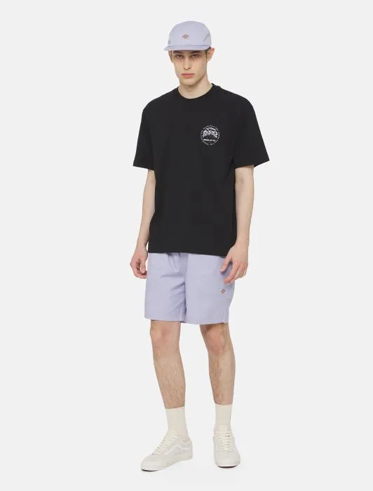 Dickies Pelican Rapids Shorts - Cosmic Sky