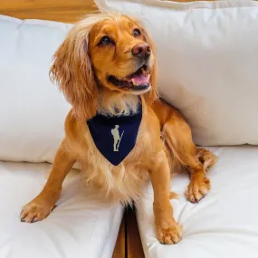 Tommy Pet Bandana